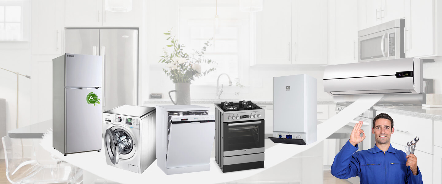 Çamlıhemşin Electrolux Servisi